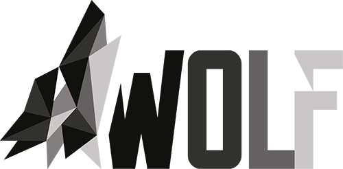 Logo FLOW